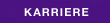 Karriere